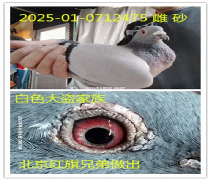 ���������ֵ�������ɫ�������