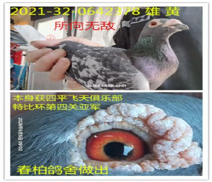 ���ظ��������رȻ��Ǿ������޵�