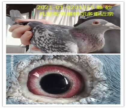 ��������������ǲ��˻��ض����ؽ���