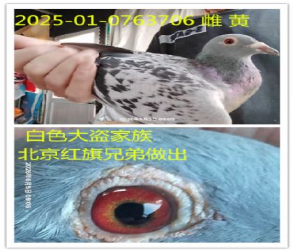 ���������ֵ�������ɫ�������