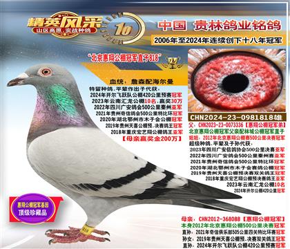 �����������蹫��ھ�ֱ��