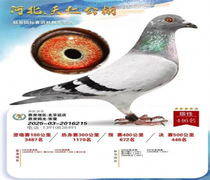 �żҿ��������빫��500�������446��  ��	