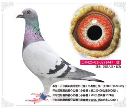 �����������밮�Ĺ��С���505�����վ��2208��