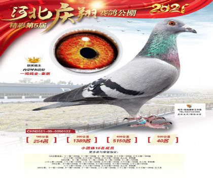 �żҿ��������빫��500�������40��  ��	