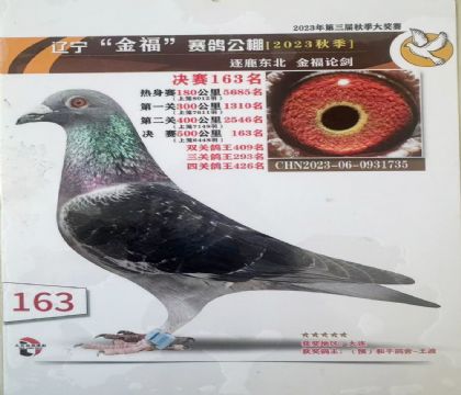 ������«�������빫��500�������163��   ��