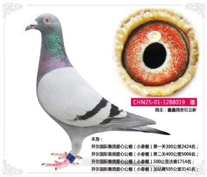 �����������밮�Ĺ��С���500�������1754��  ��