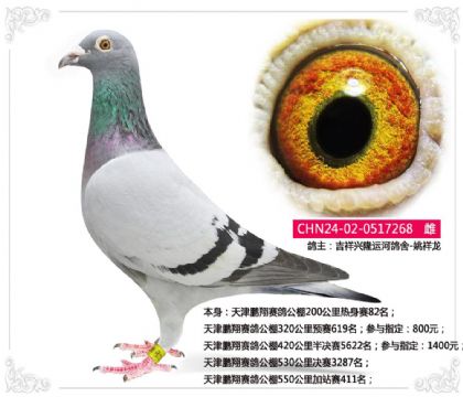 ����������빫��550�����վ��411��  ��	