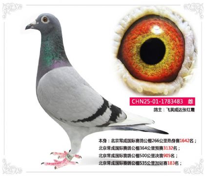�������ɹ������빫��535�����վ��183��   ��	