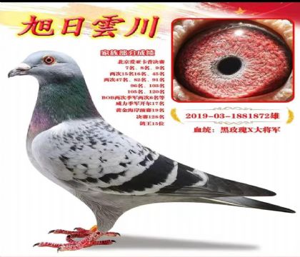 ����녴�-��ΰΰ--��õ��X�󽫾�872   ��	