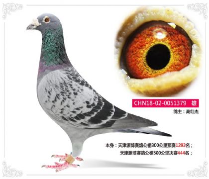 ���Դ�����빫��500�������444��   ��	
