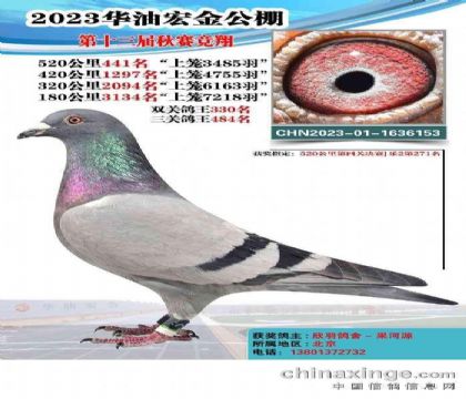 ���ͺ�����빫��520�������441��   ��