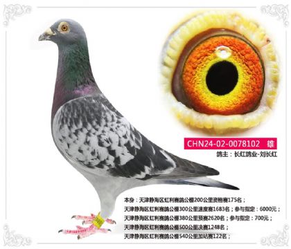 ��򾲺����������빫��540�����վ��122��   ��	