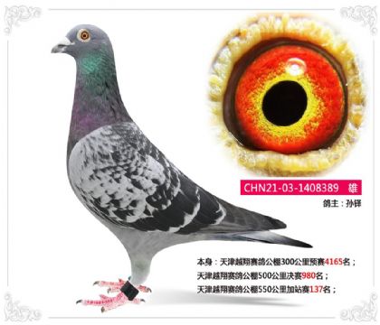 ���Խ�����빫��550�����վ��137��  ��	