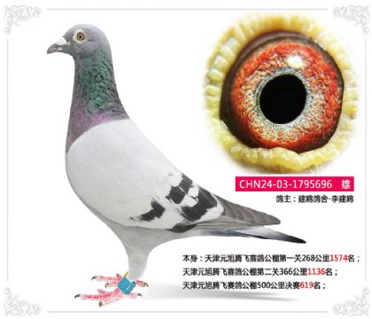 ���Ԫ���ڷ����빫��500�������619��  ��	