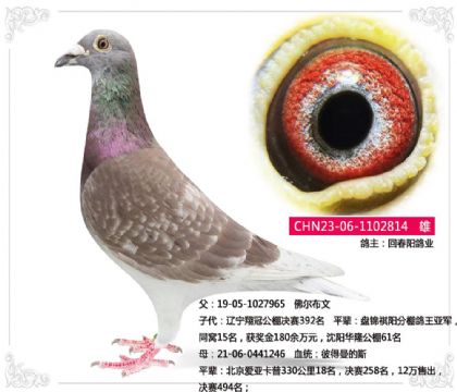 �ش�����ҵ	--�˵�����˹X�������814   ��	