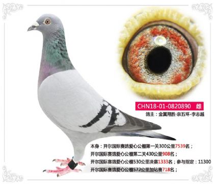 �����������밮�Ĺ���572�����վ��718��  ��	