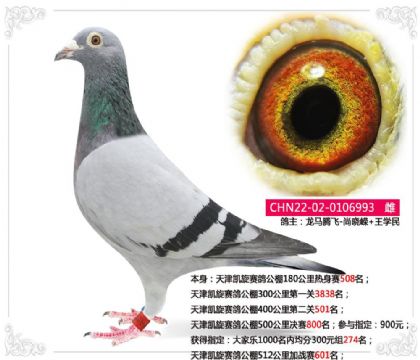 ��������빫��500�������800��   ��	
