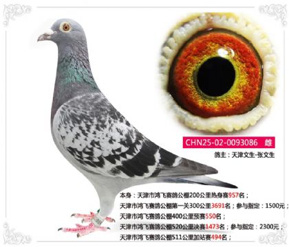 ����к�����빫��511�����վ��494��   ��	