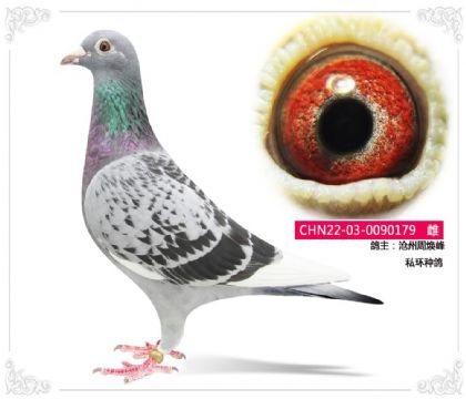�����ܻ���    ˽���ָ�179   ��	