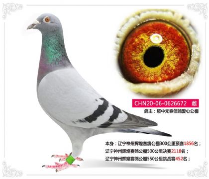 �������ݻԻ����빫��550������ս��452��   ��	