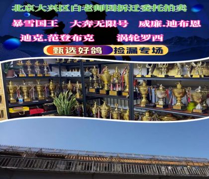 北京白老先生清舍 大奔无限号家族