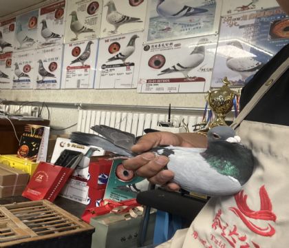16.���ض�������