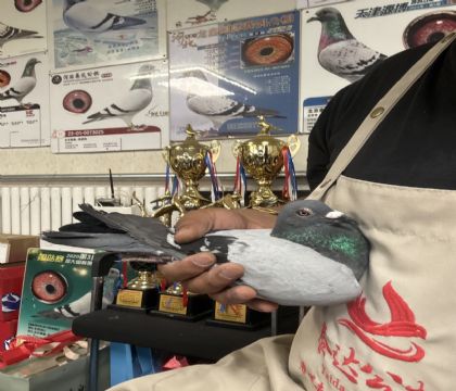 21.���������رȻ�һ��500����356��