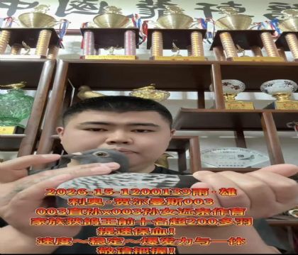 ���ٱ�Ѫ�����ºض���˹003ֱ��X003��Ů����
