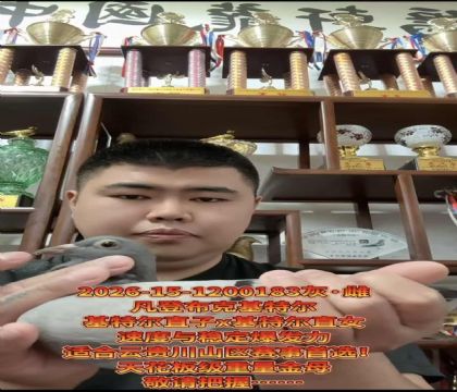 �ƹ������ѡ�����ǲ��ˡ����ض���ֱ��X�����ض���ֱŮ