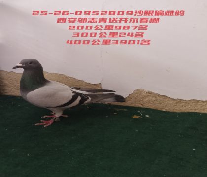ƫ�ƣ������������ٹ���24������987��