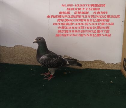 δ����