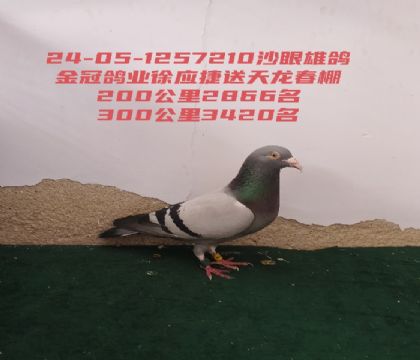 δ����