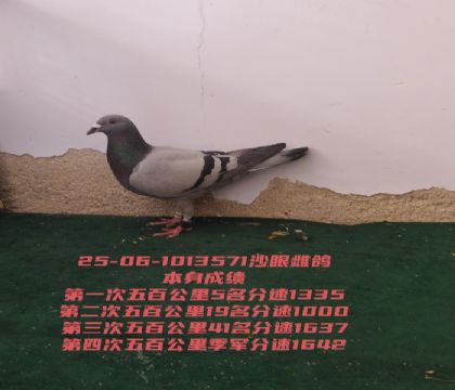 δ����