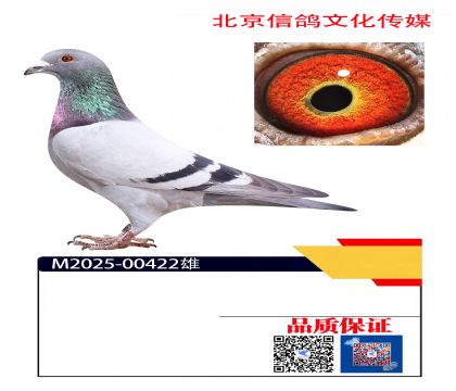 ǧ����13��ͬĸ422