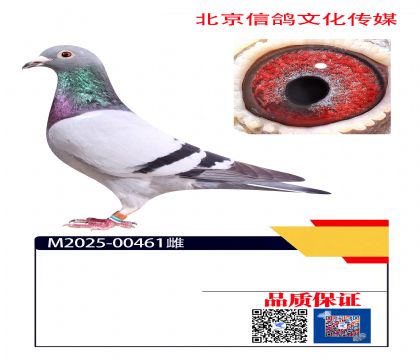 ����99��ֱŮ461