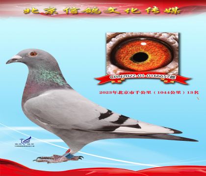 ͬĸ����