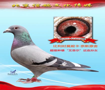 ĸ��