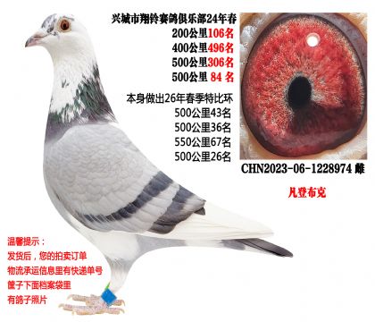 500����ɼ��루���ǲ��ˣ�����������سɼ���