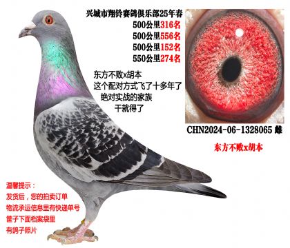 4��500����ɼ��루��������x������