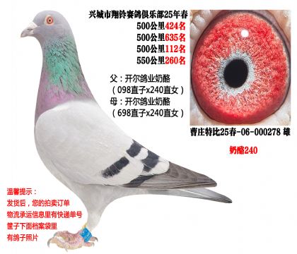 4��500����ɼ��루������ҵ����240��
