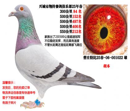 4��500����ɼ��루������2���ٹھ����壩