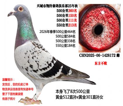8��500����ɼ��루�������ܣ���ţ���壩