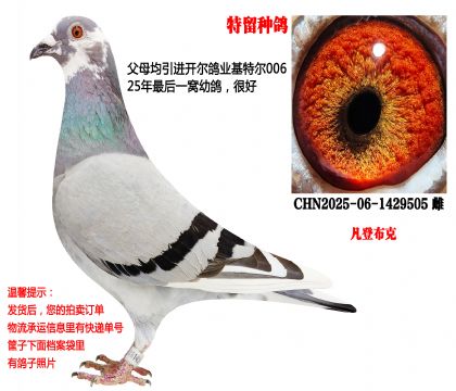25�������ָ루���ǲ��ˣ�