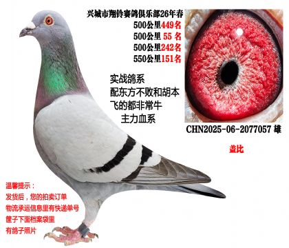 4��500�����λ�ɼ��루�Ǳȣ��ٶ����������ߣ�