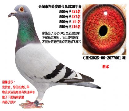 4��500�����λ�ɼ��루������2���ٹھ����壩