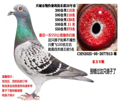 �������ص㣩4��500���������λ�ɼ��루�������ܣ�