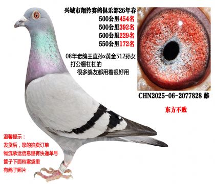 4��500��������ɼ��루�������ܣ�08����x�ƽ�512��