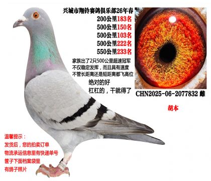 4��500�����λ�ɼ��루������2���ٹھ����壩