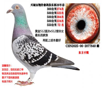 4��500��������ɼ��루�ƽ�512մѪ��������