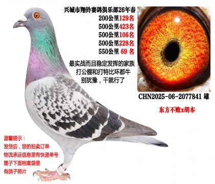4��500��������ɼ��루��������x������